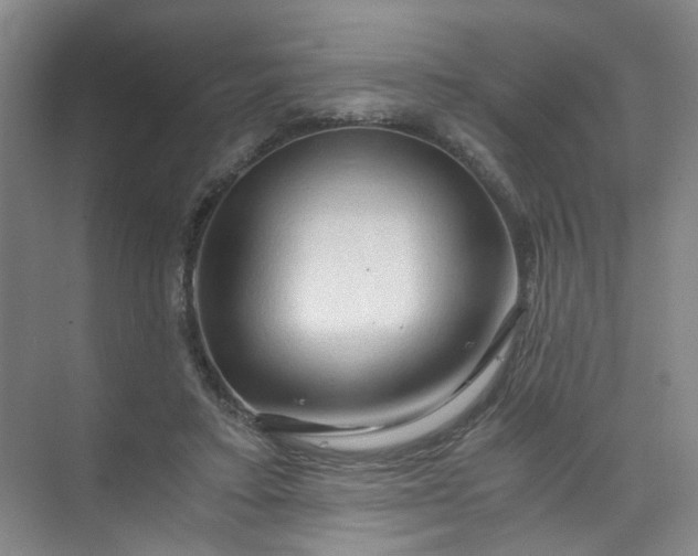 X0000073980403200609051916