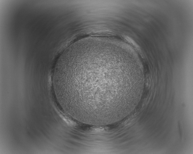 X0000073980405200609051916