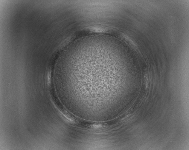 X0000073980406200609051916