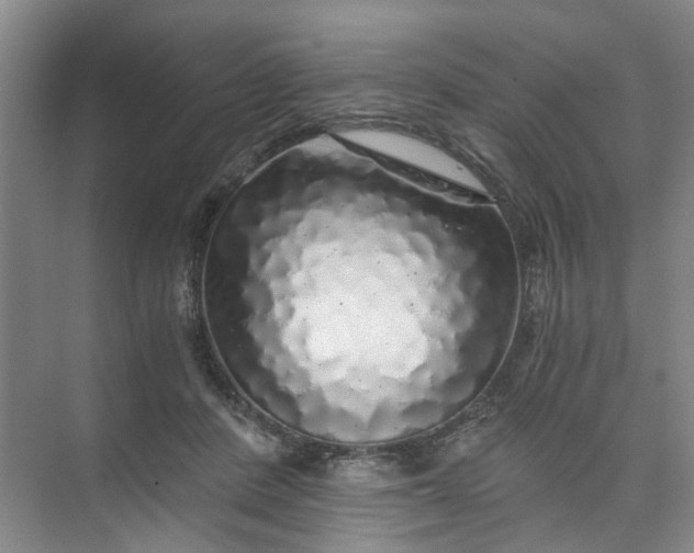 X0000073980408200609051916