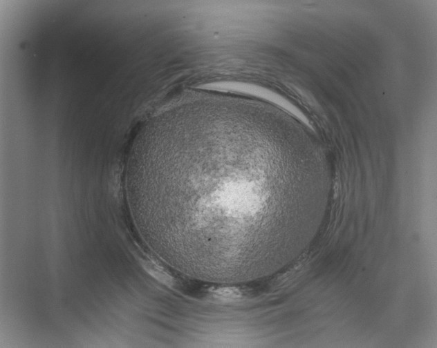 X0000073980409200609051916