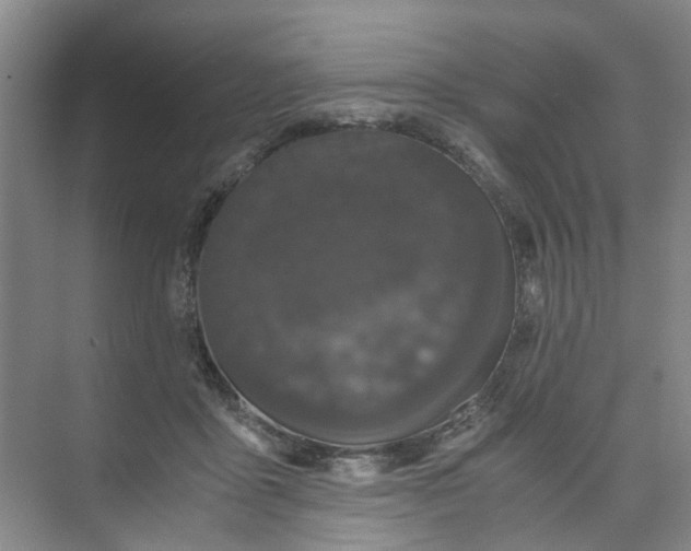 X0000073980411200609051916