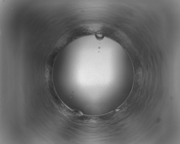 X0000073980412200609051916