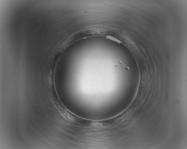 X0000073980413200609051916