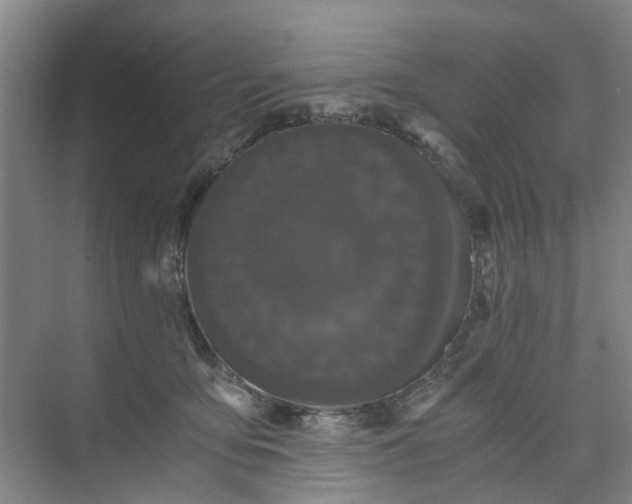 X0000073980419200609051916