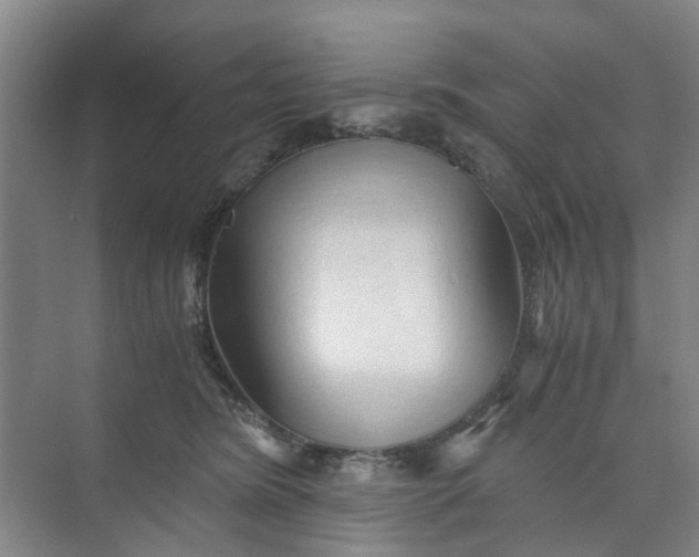 X0000073980420200609051916