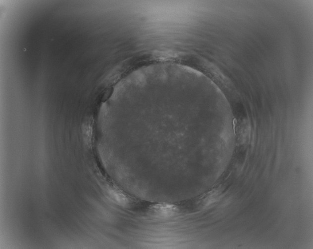 X0000073980427200609051916