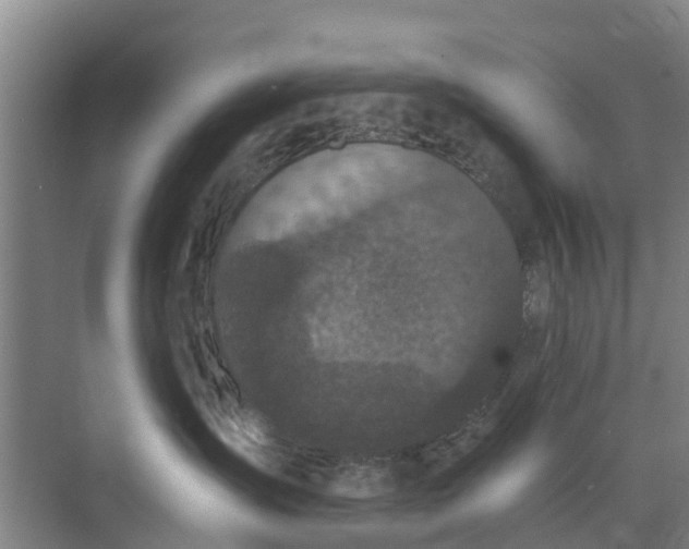 X0000073980431200609051916