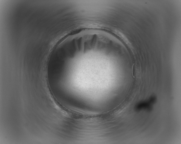 X0000073980433200609051915