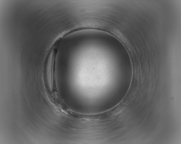 X0000073980434200609051915