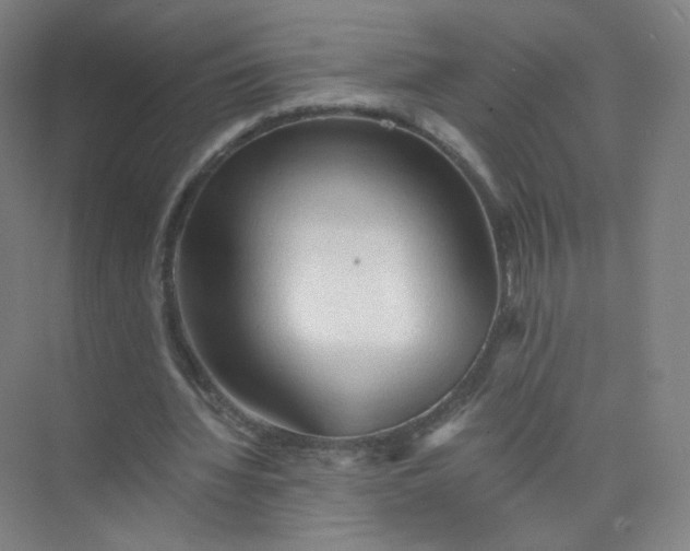 X0000073980436200609051915