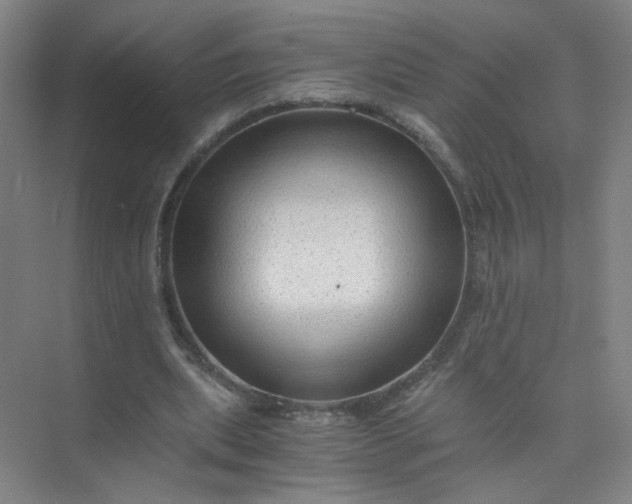 X0000073980439200609051915