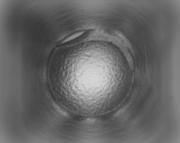 X0000073980441200609051915