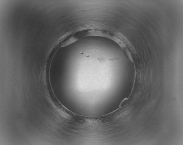 X0000073980442200609051915