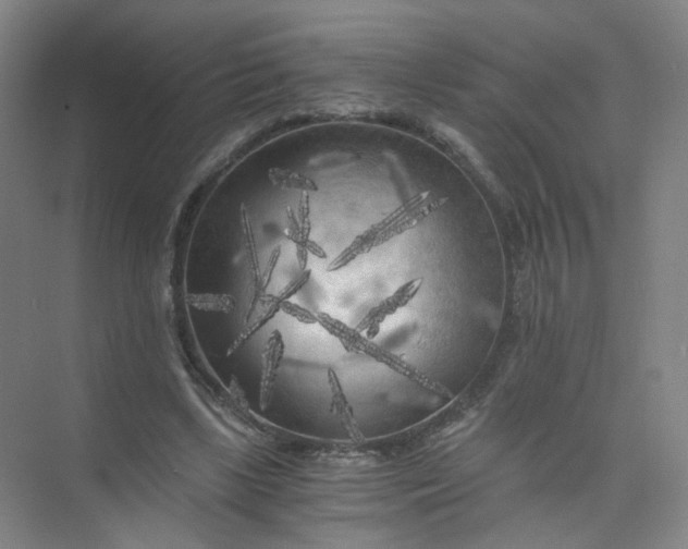 X0000073980443200609051915