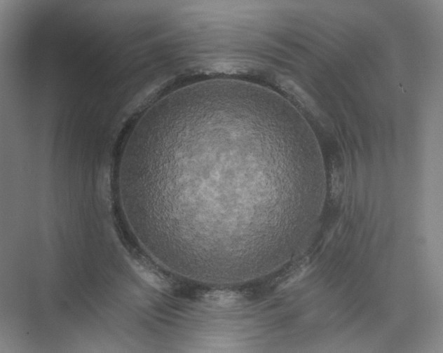 X0000073980444200609051915