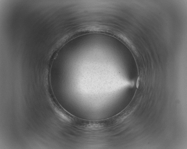 X0000073980445200609051915