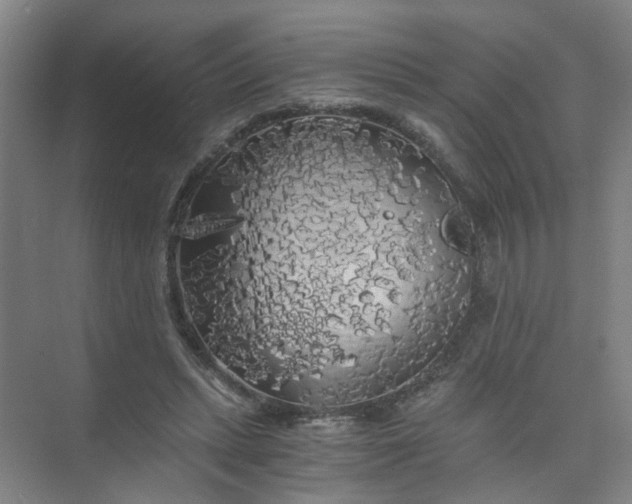 X0000073980447200609051915