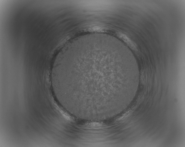 X0000073980449200609051915