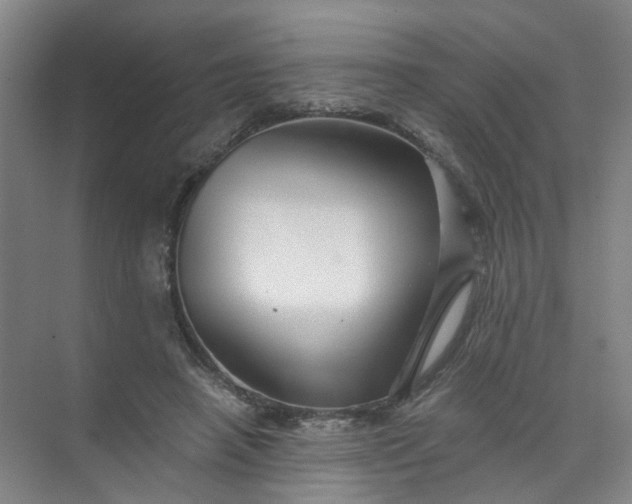 X0000073980450200609051915