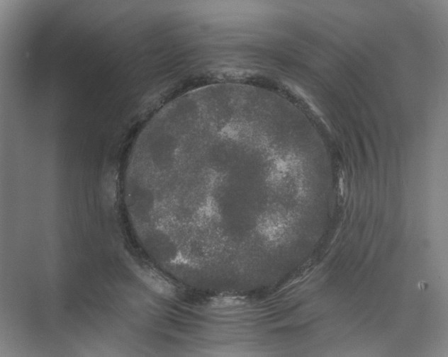 X0000073980451200609051915