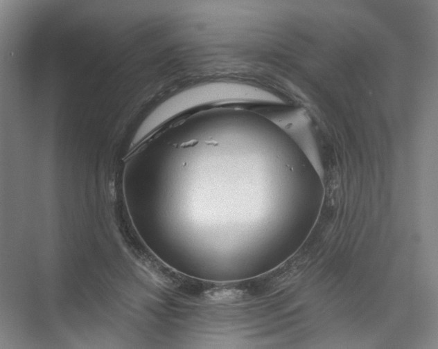 X0000073980452200609051915