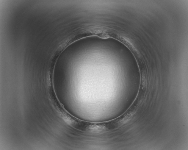 X0000073980453200609051915