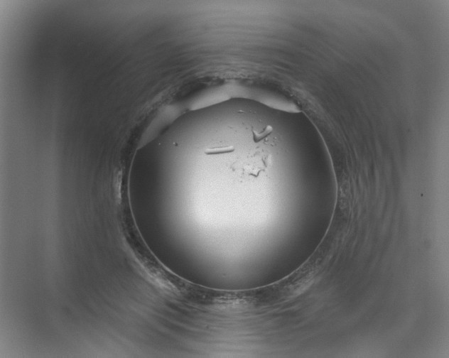 X0000073980454200609051915