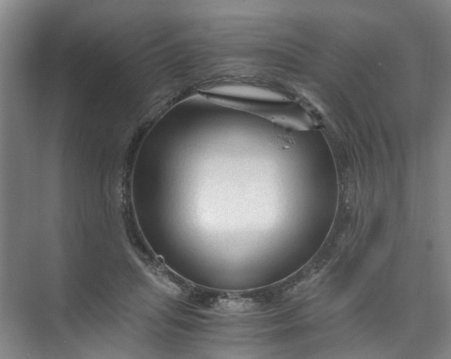 X0000073980455200609051915