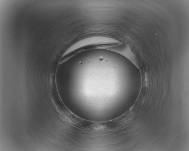 X0000073980456200609051915