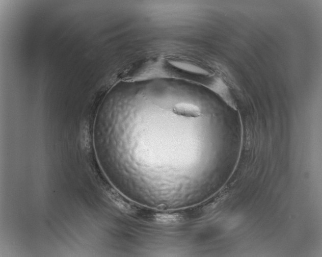 X0000073980457200609051915