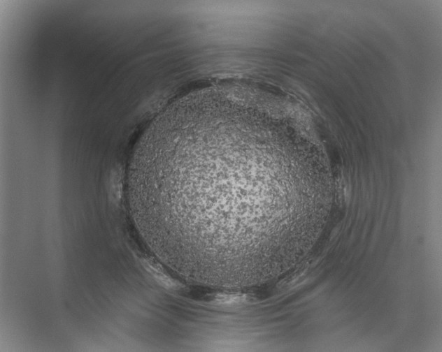 X0000073980458200609051915