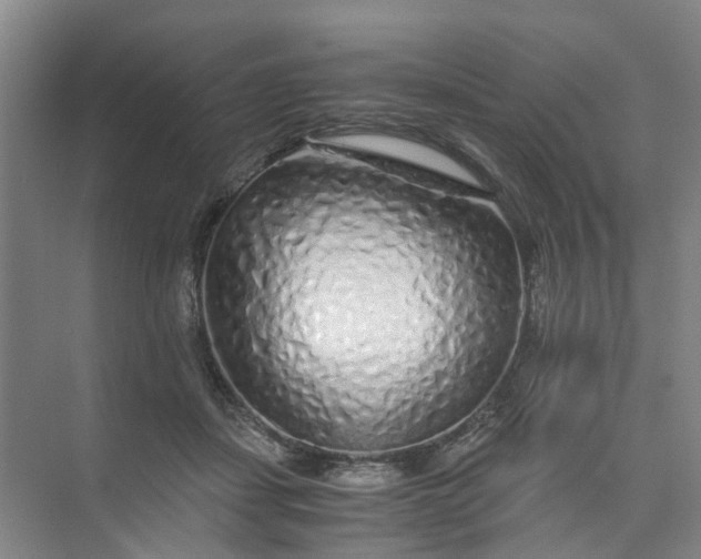 X0000073980459200609051915