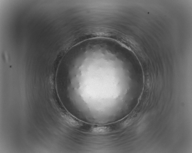 X0000073980461200609051915