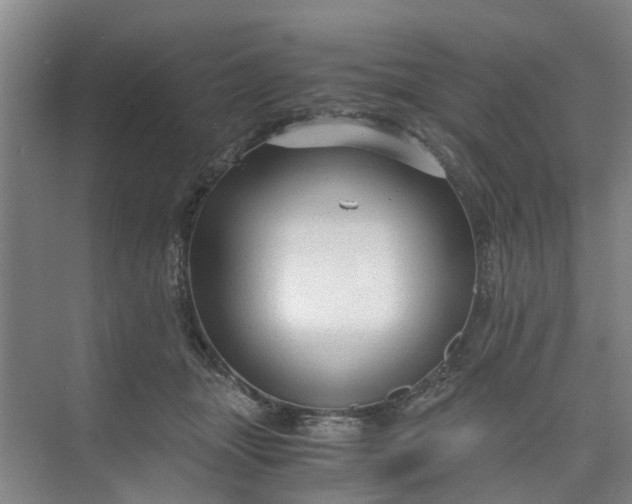 X0000073980463200609051915