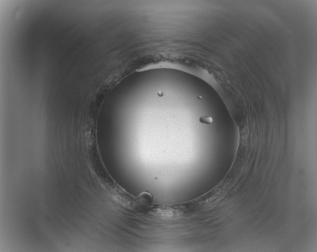 X0000073980464200609051915