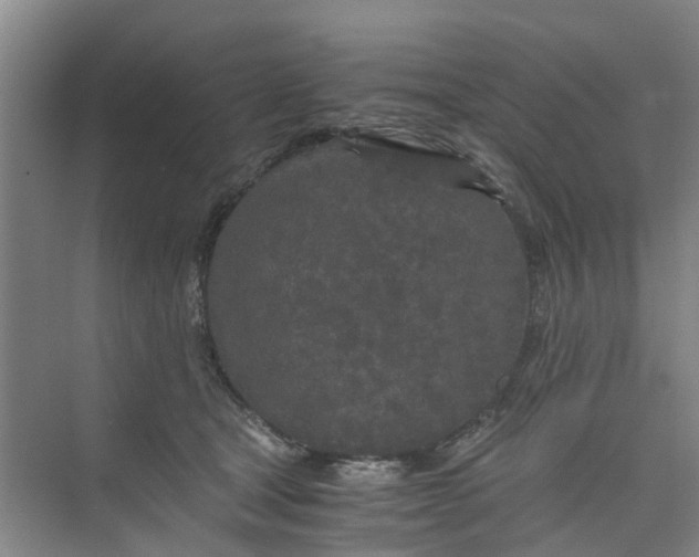 X0000073980465200609051915