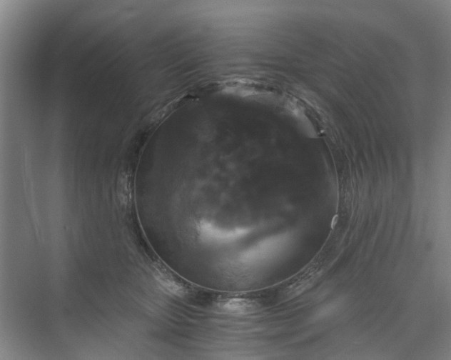 X0000073980467200609051915