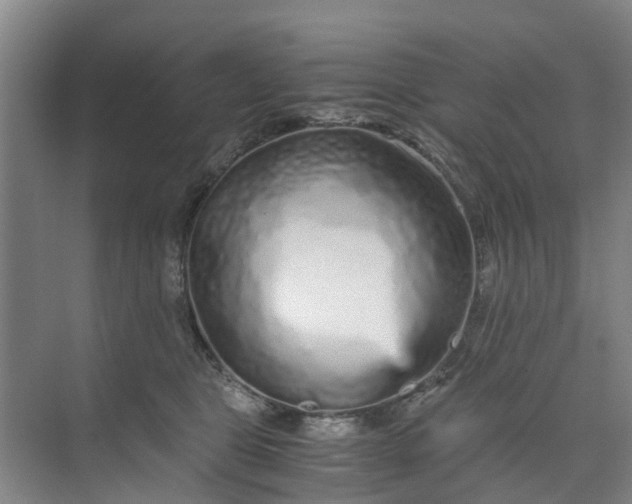 X0000073980469200609051916