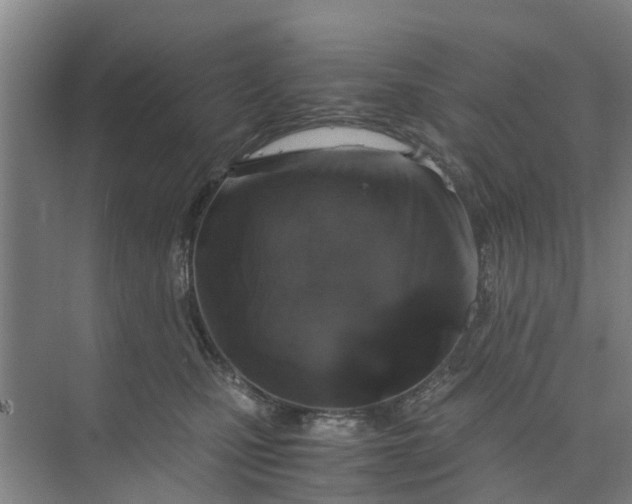 X0000073980471200609051916