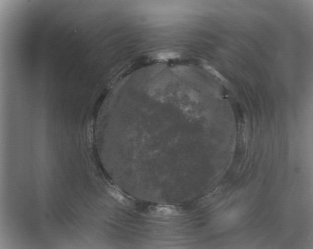 X0000073980475200609051916