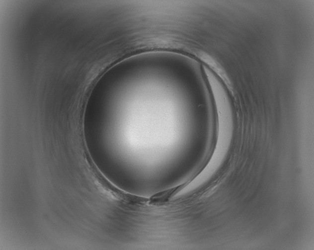 X0000073980481200609051915