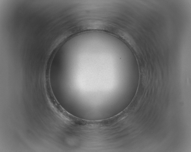 X0000073980482200609051915