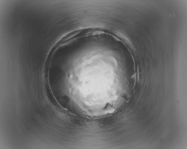 X0000073980483200609051915