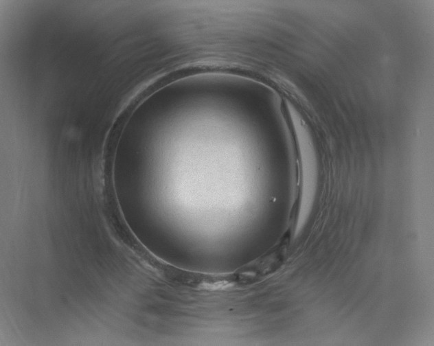 X0000073980484200609051915