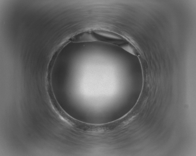 X0000073980485200609051915