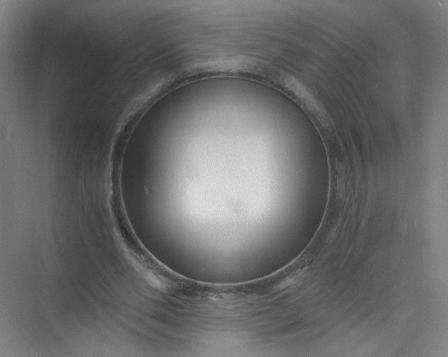 X0000073980486200609051915