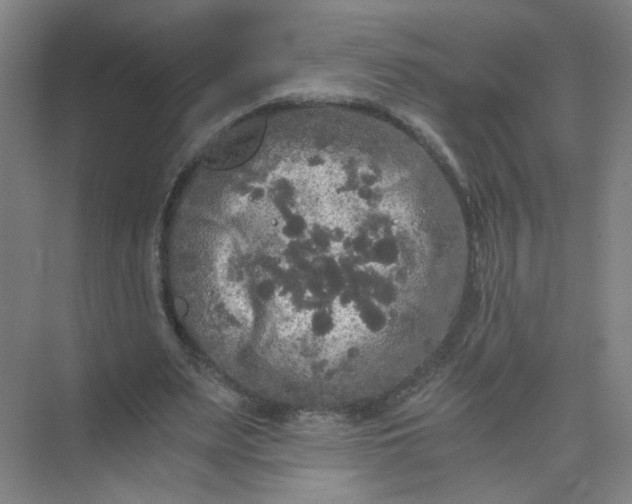 X0000073980487200609051915