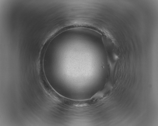 X0000073980488200609051915