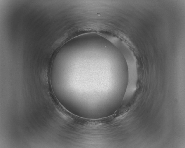 X0000073980489200609051915